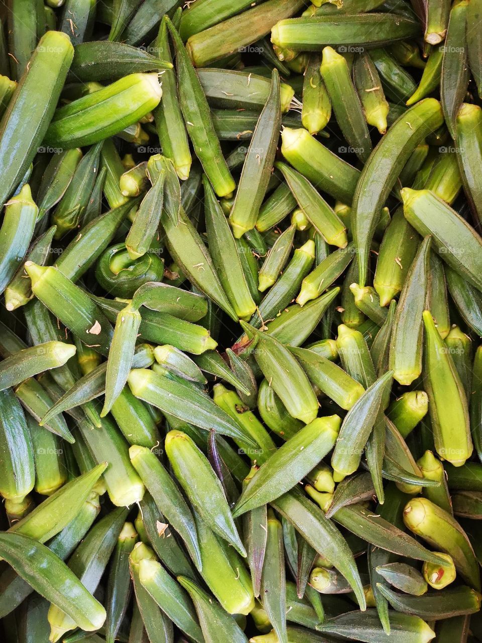 Okra and its health benefit for the treatment of joints