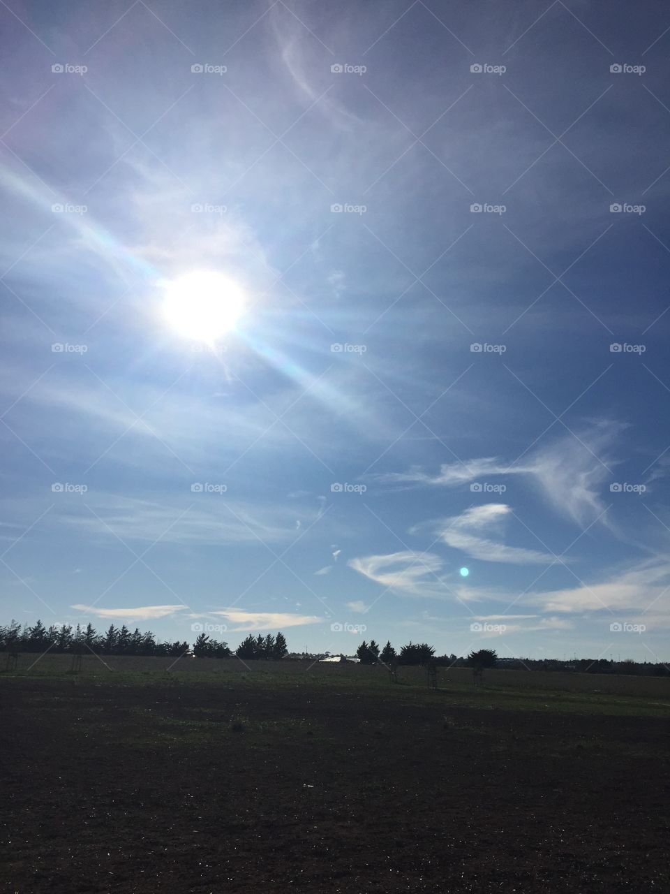 Sunshine during winter 