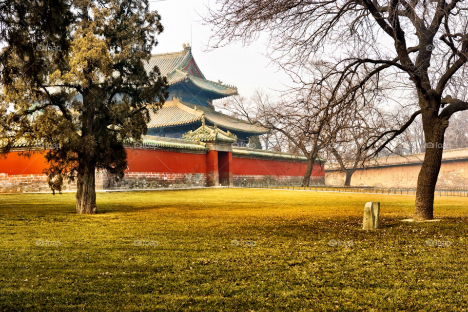 garden china tree architecture by jmsilva59