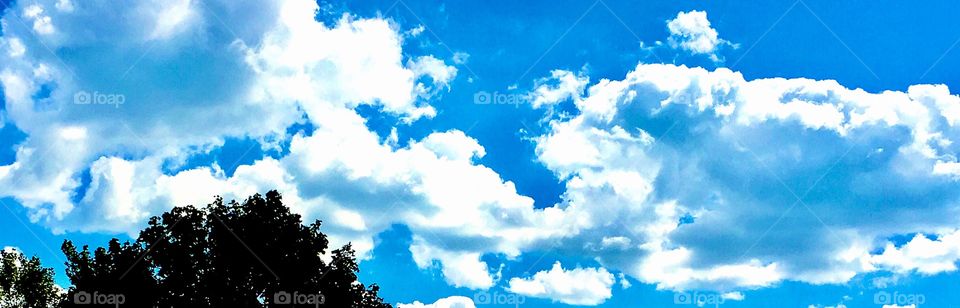 Sky clouds blue white tree green no fright