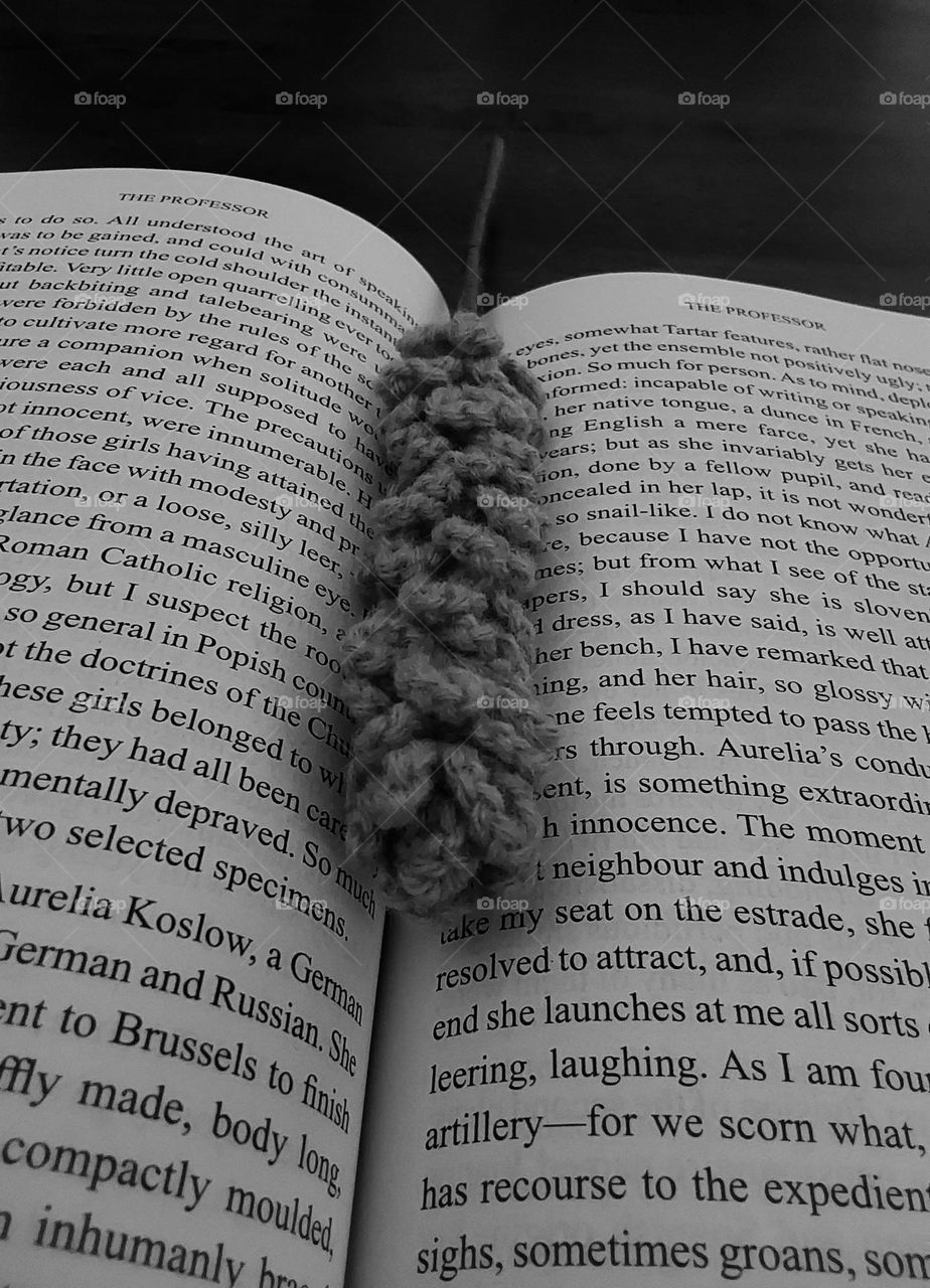 crochet laverder on the book