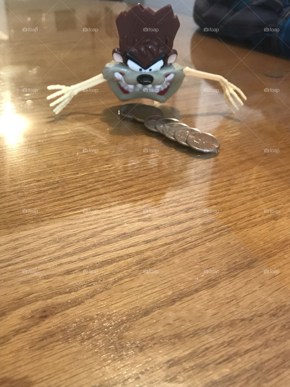 Petit bonhomme Tasmanie 