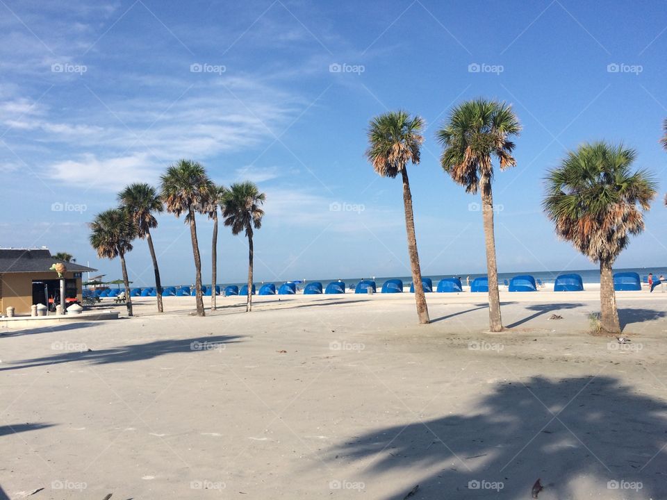 Beach, Sand, Tropical, Summer, Seashore