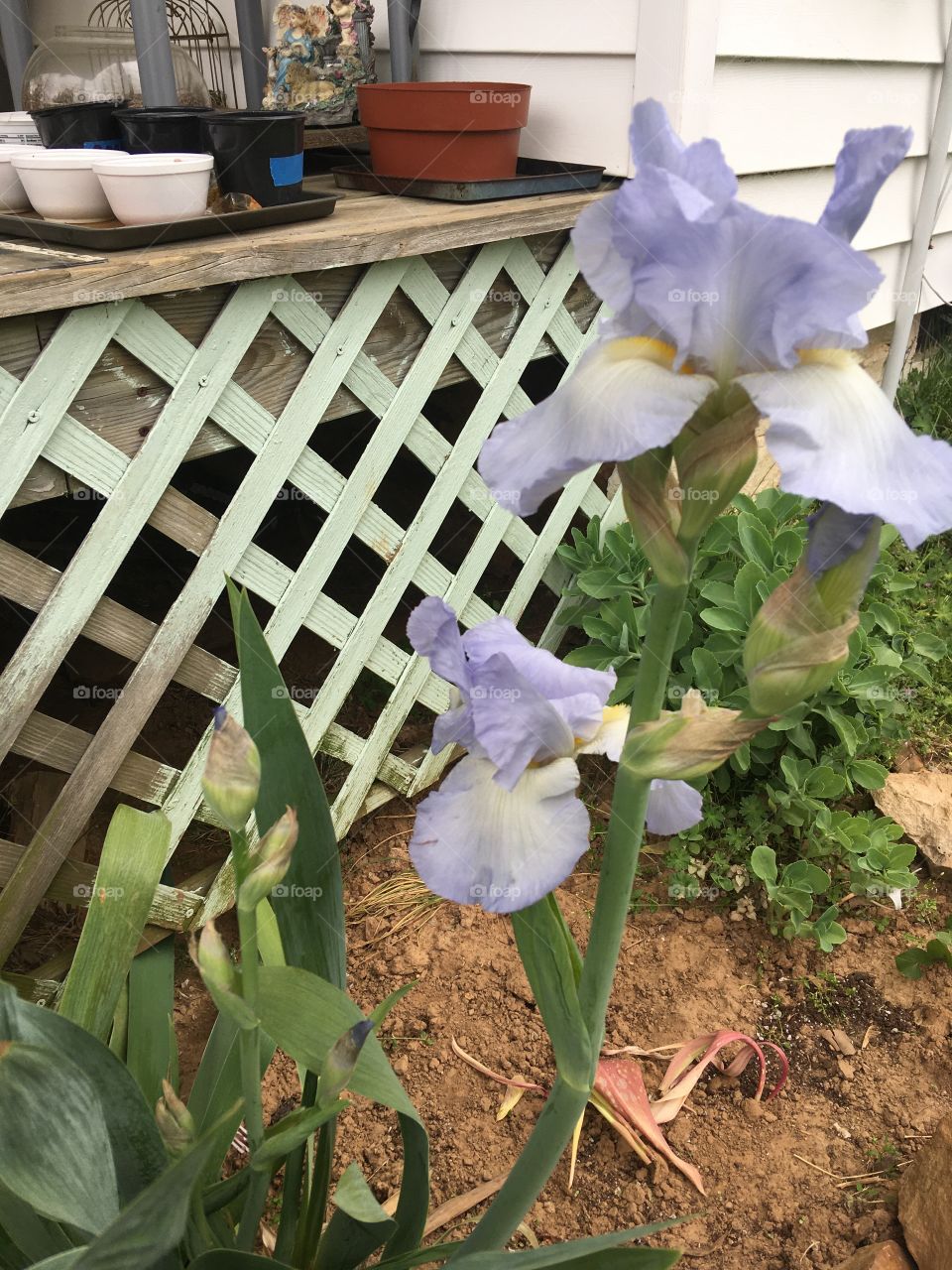 Sharing some smiles for this Easter Sunday hope you all enjoy my pictures. 