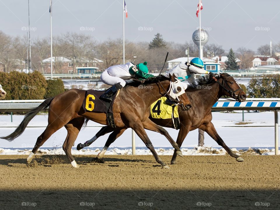 Racing from Aqueduct by Fleetphoto