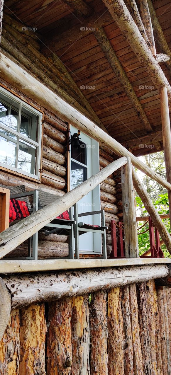 House in the forest.