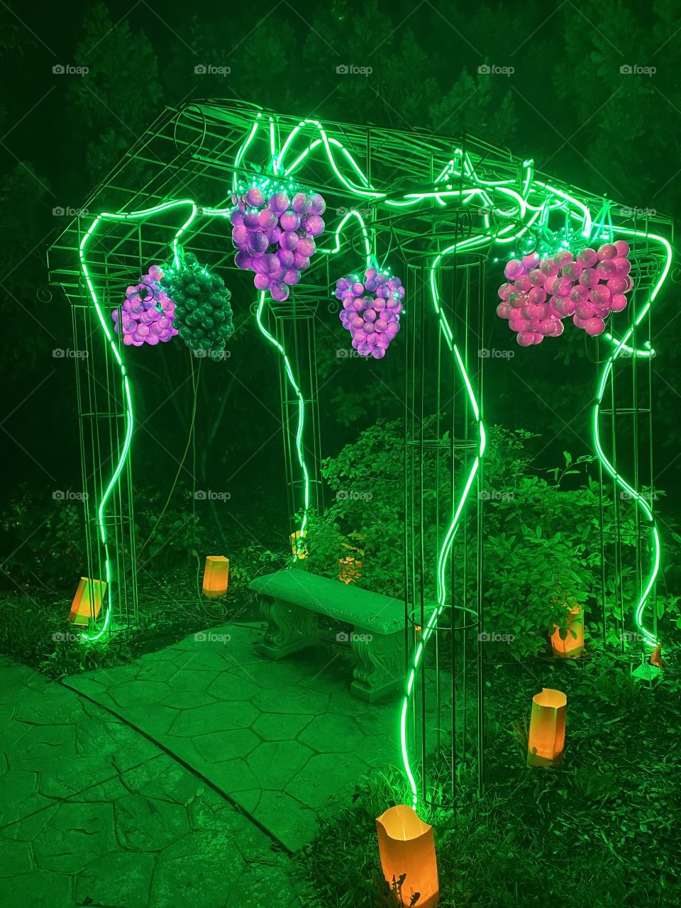 Wine garden lit up with electric lights.