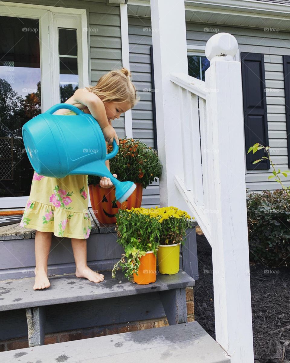 Watering Can, Garden, Horticulture, Pot, Flower