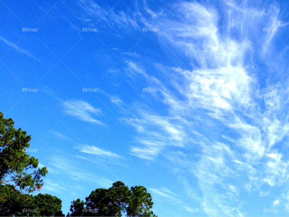 Cirrus clouds