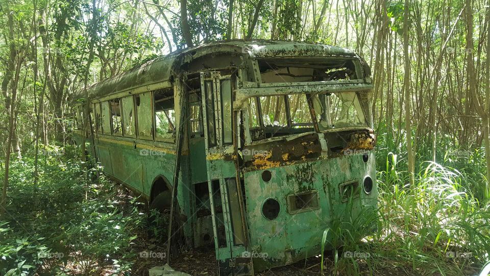 Old abandoned bus in wooded area