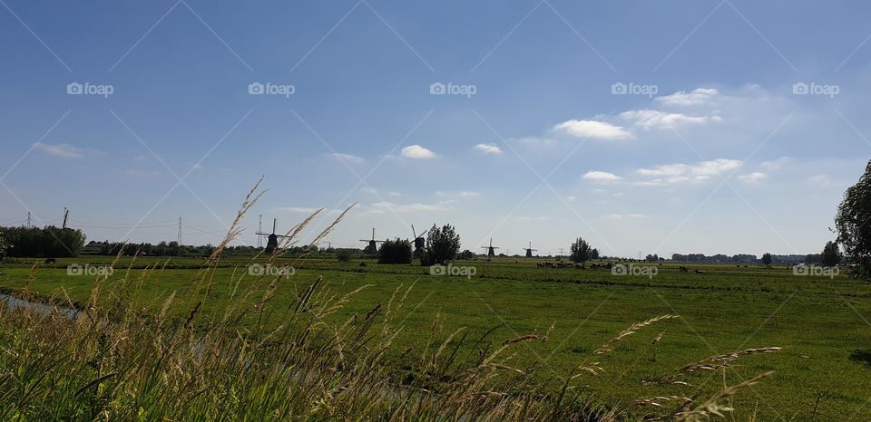 Landscape, Grass, Farm, Field, Agriculture