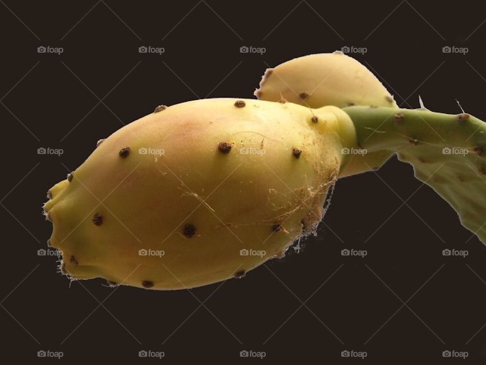 Cactus fruit (prickly pear)