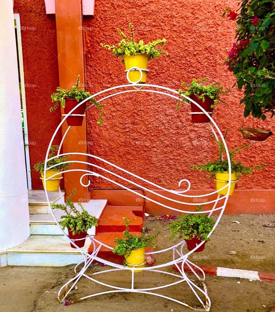 Sell your first photo on Foap