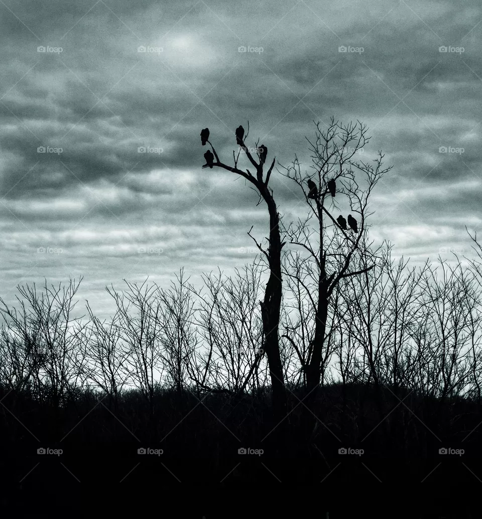 Ominous 