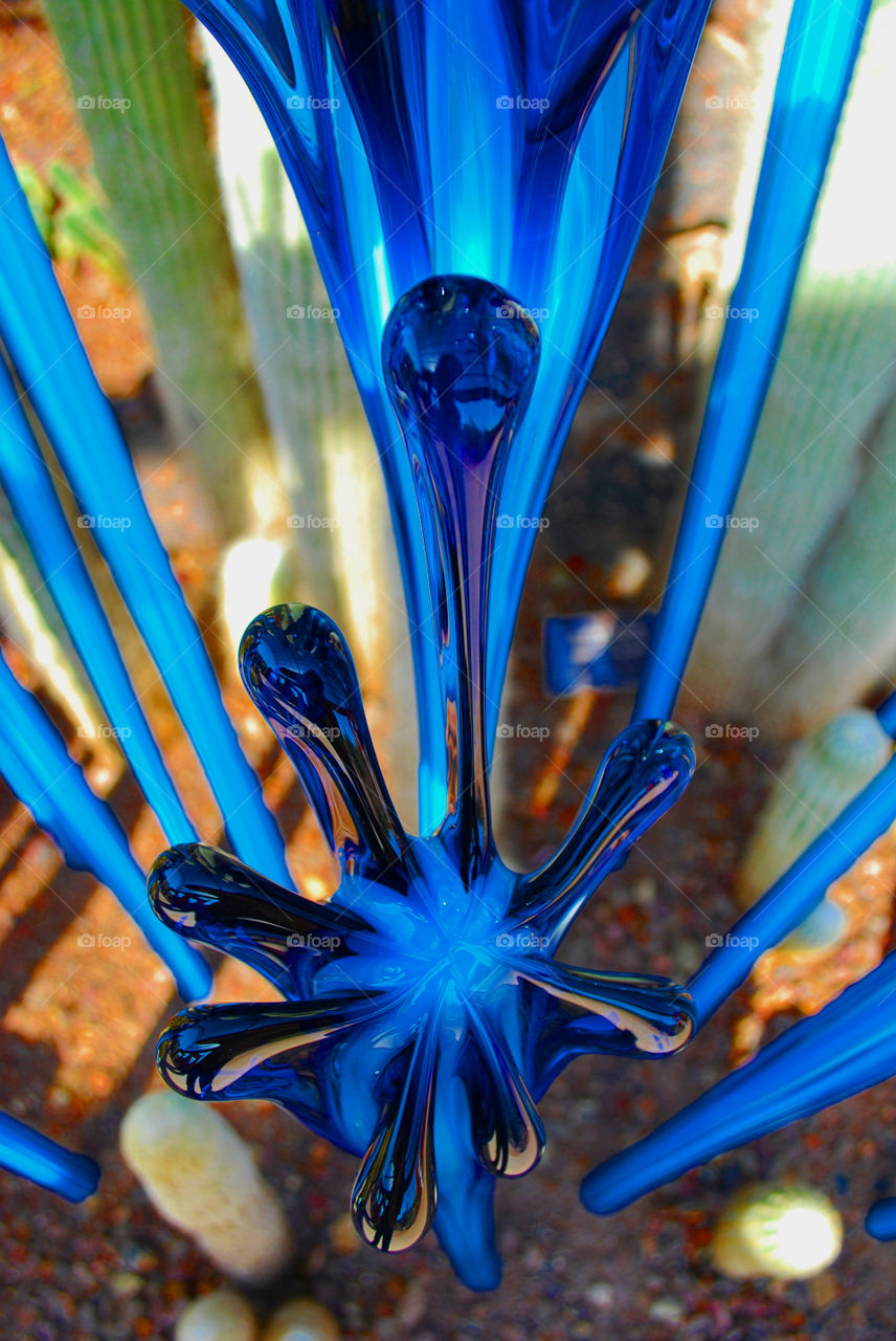 Raindrops at the CHIHULY IN THE GARDEN event in 2013-2014 at the Arizona botanical gardens, originally entered into the Arizona highways photo contest where I received a honorable mention Hope you enjoyed it! 