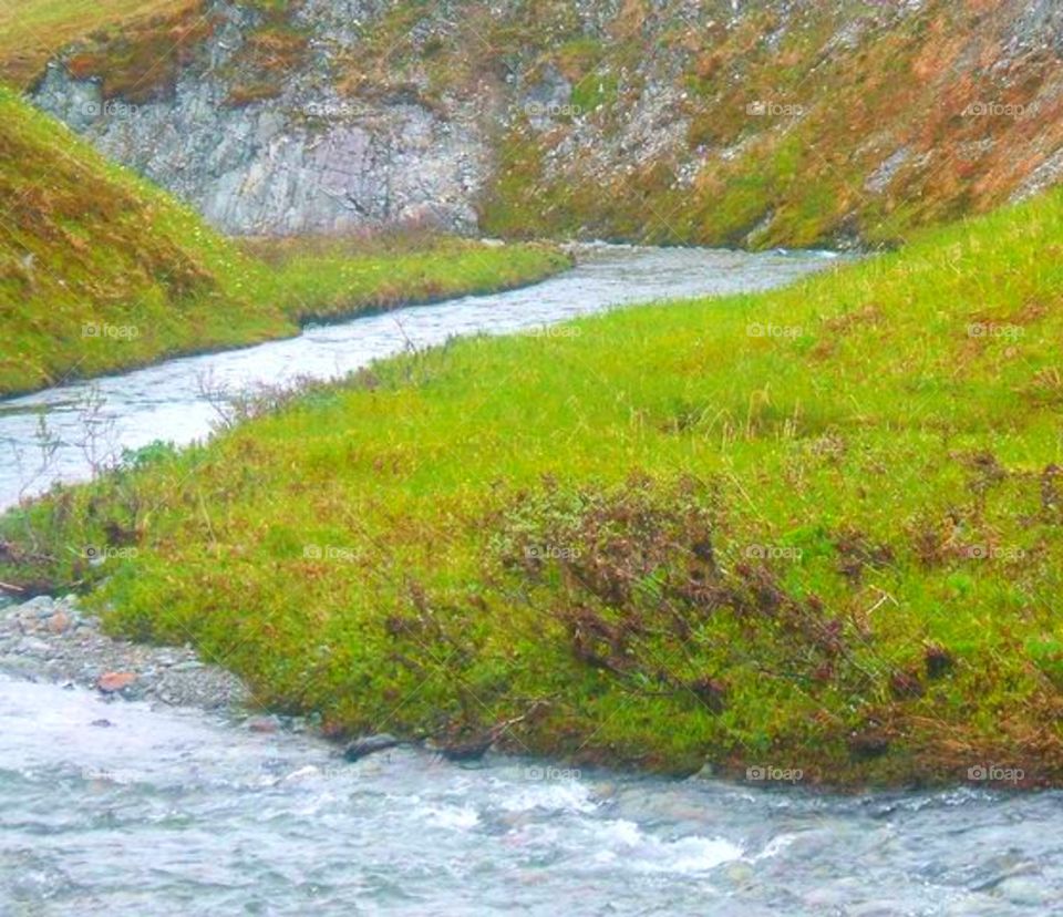 Stream in Alaska