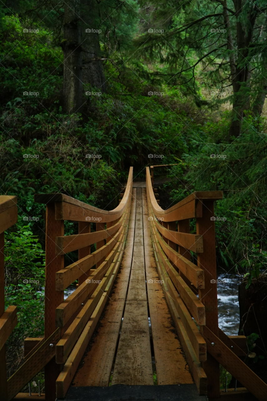 Bridge to serenity 