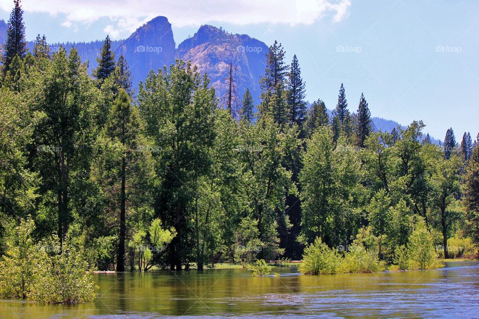 Flooded Merced 