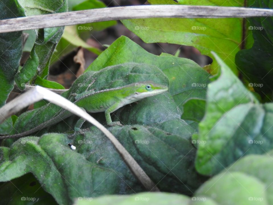 What do I spy with my little eye?