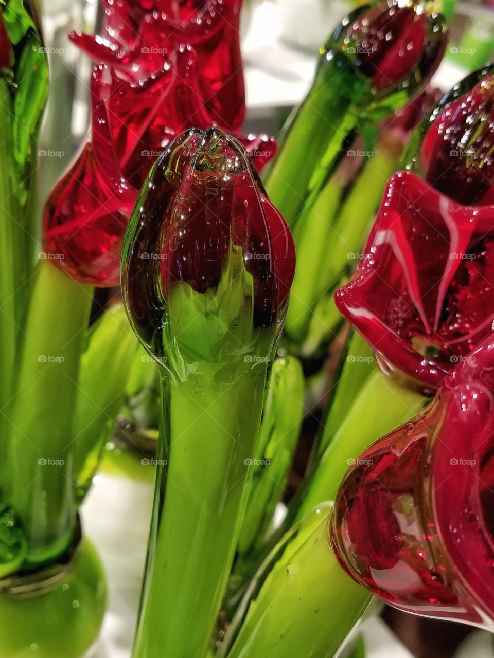 Glass Flowers