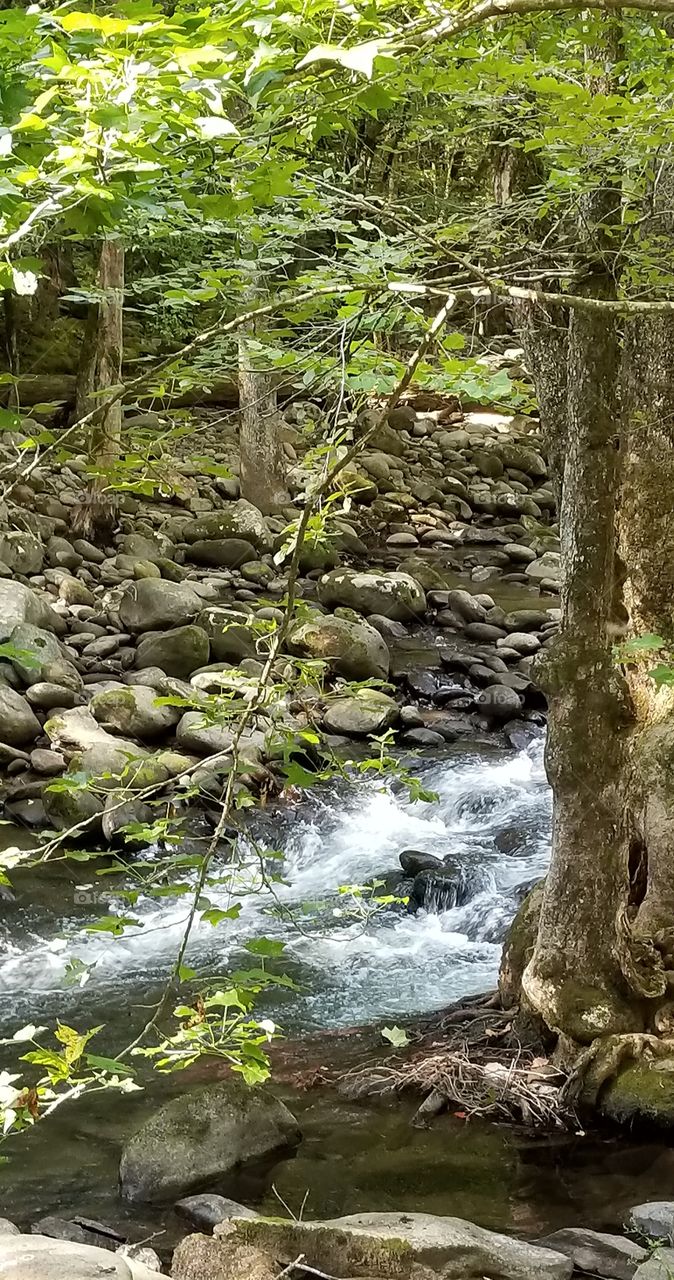 River in Tennessee