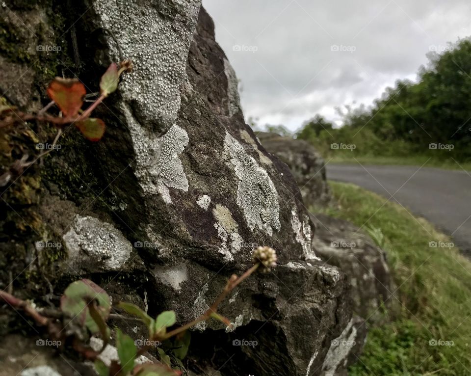 Black granite rock with beautiful side road...