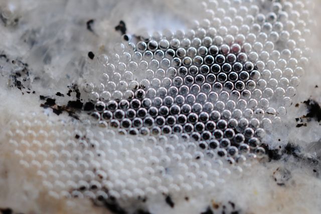 Macro Bubbles