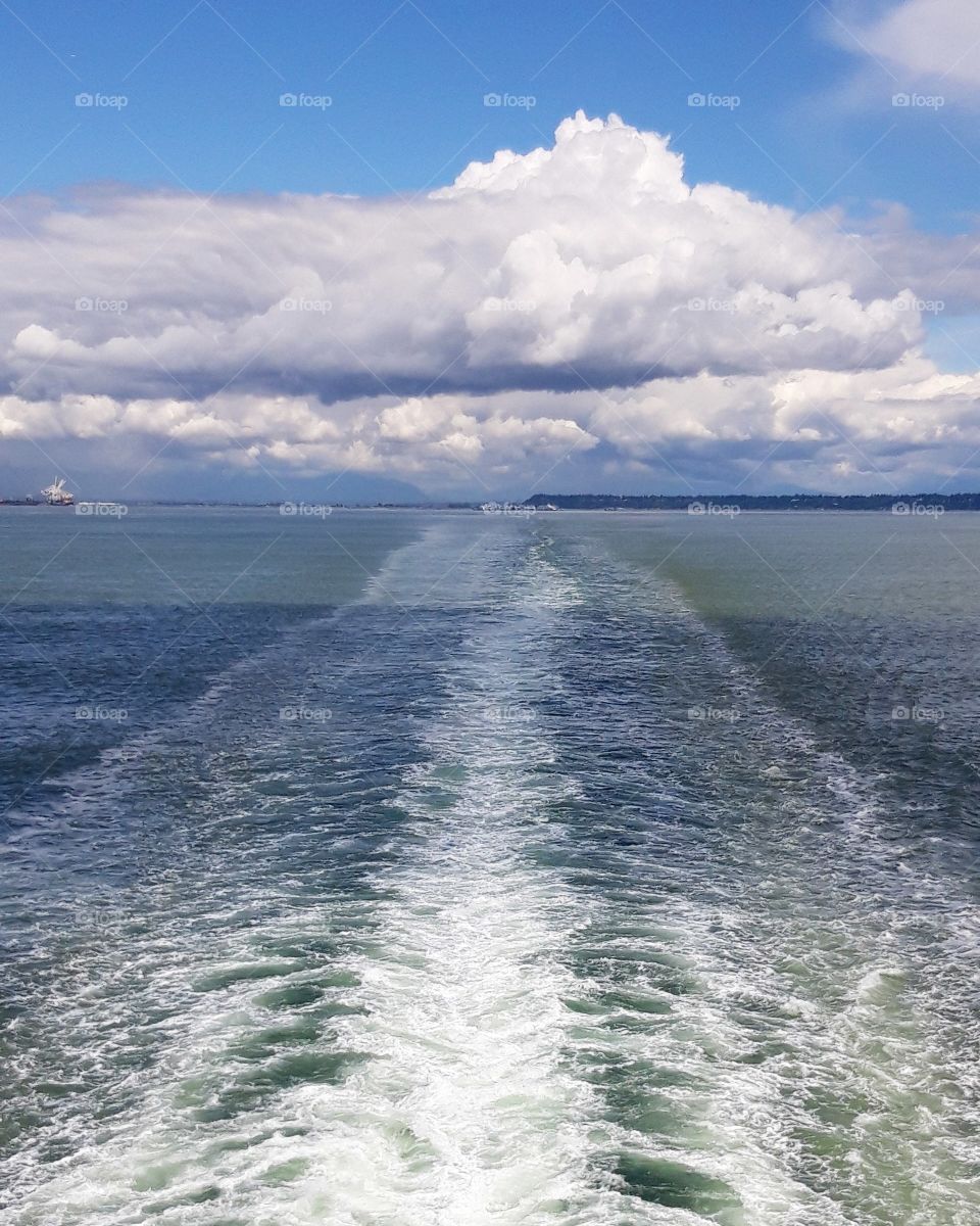 on the feyy to Vancouver island