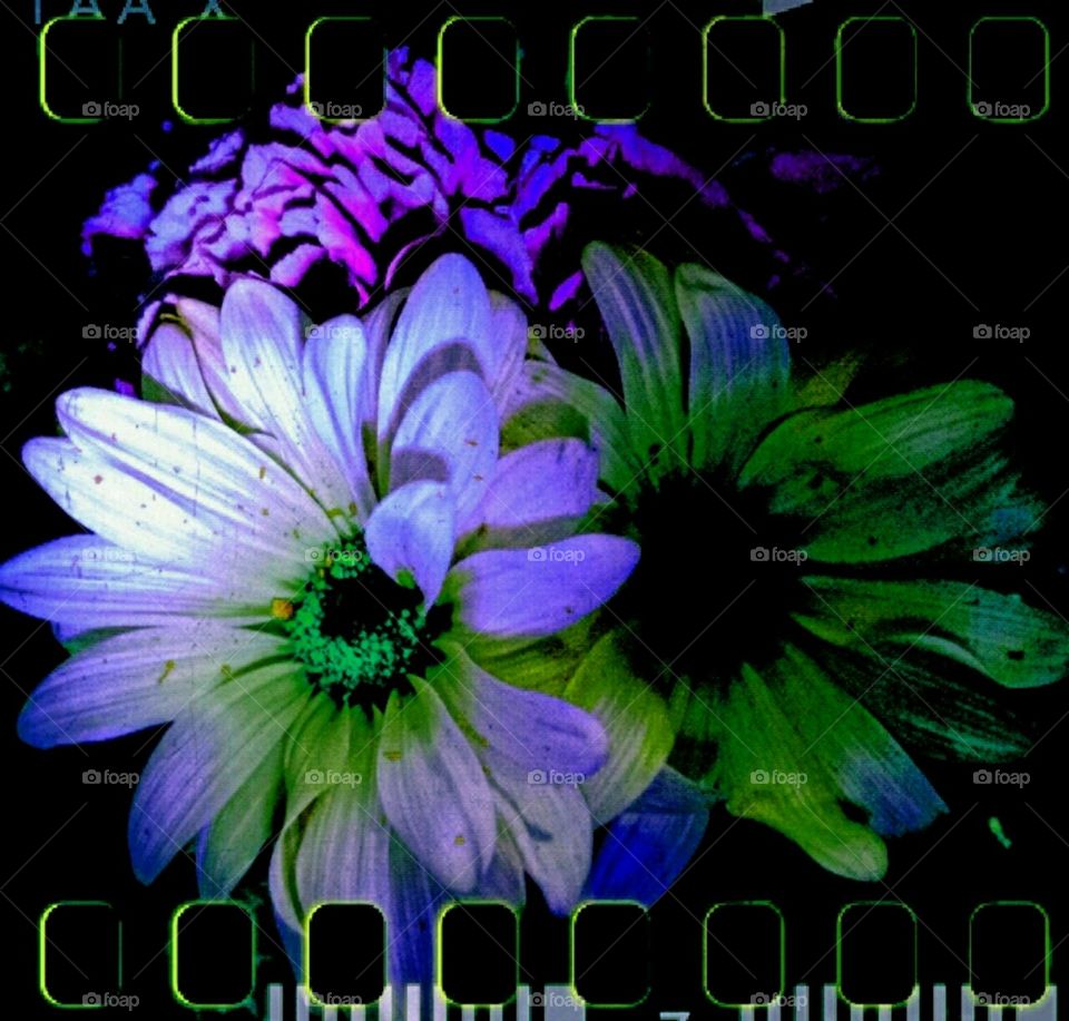 smashingly. lighting effects