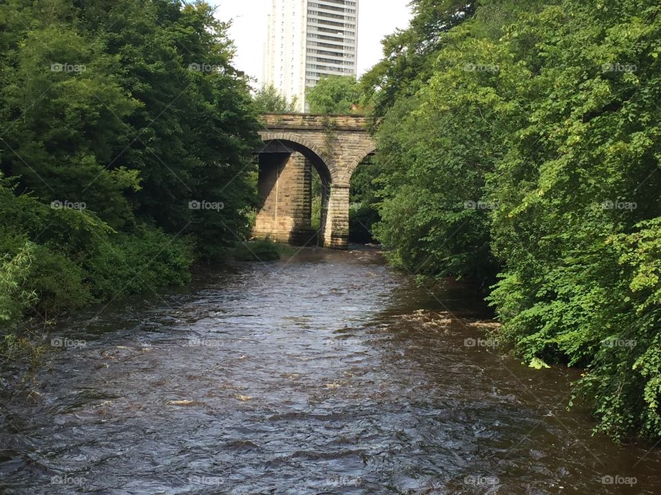 Glasgow nature walks