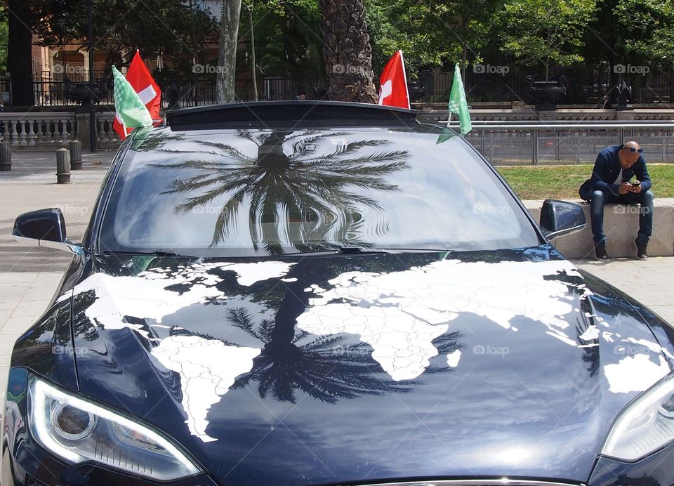World map and palm trees reflecting on a car