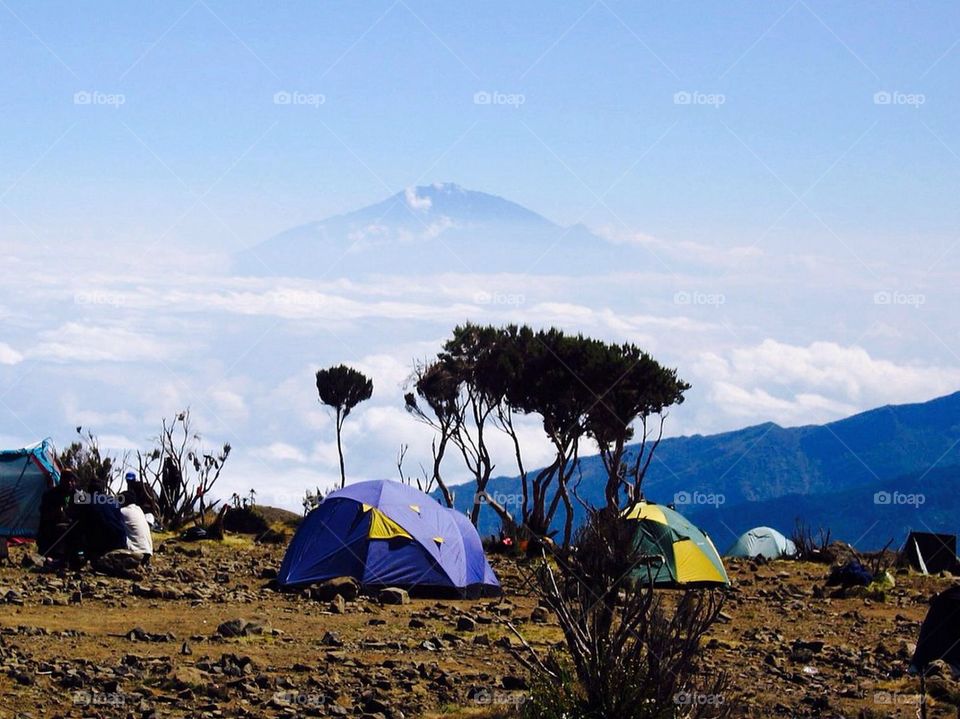 mountain pine tree peak tents by anetteaventyr