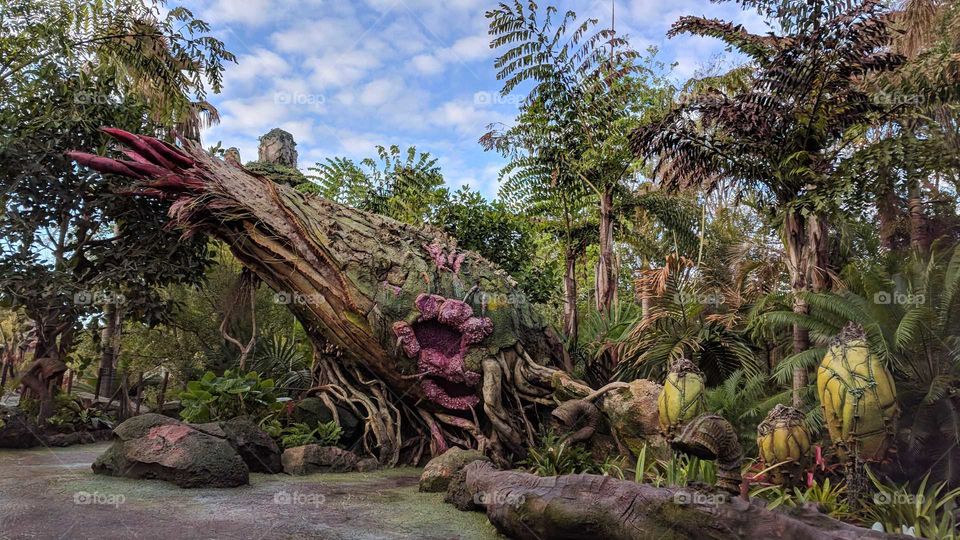 Pandora - The World of AVATAR