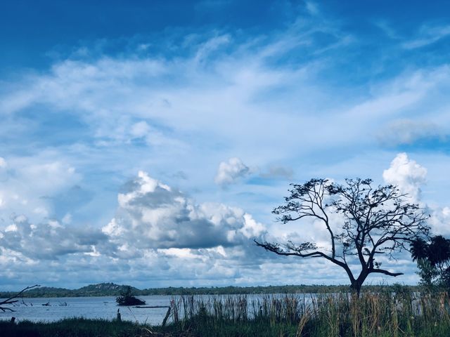 Cloudy Sky Lake View 