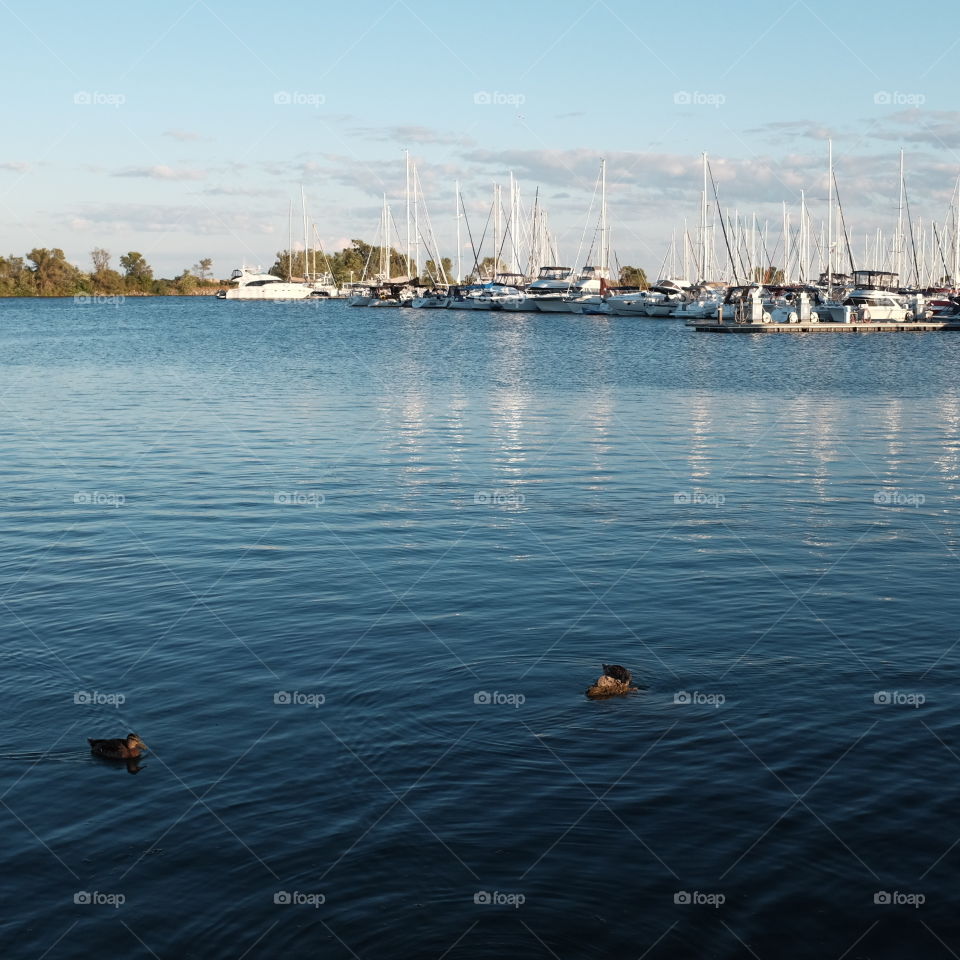 View from the lakefront