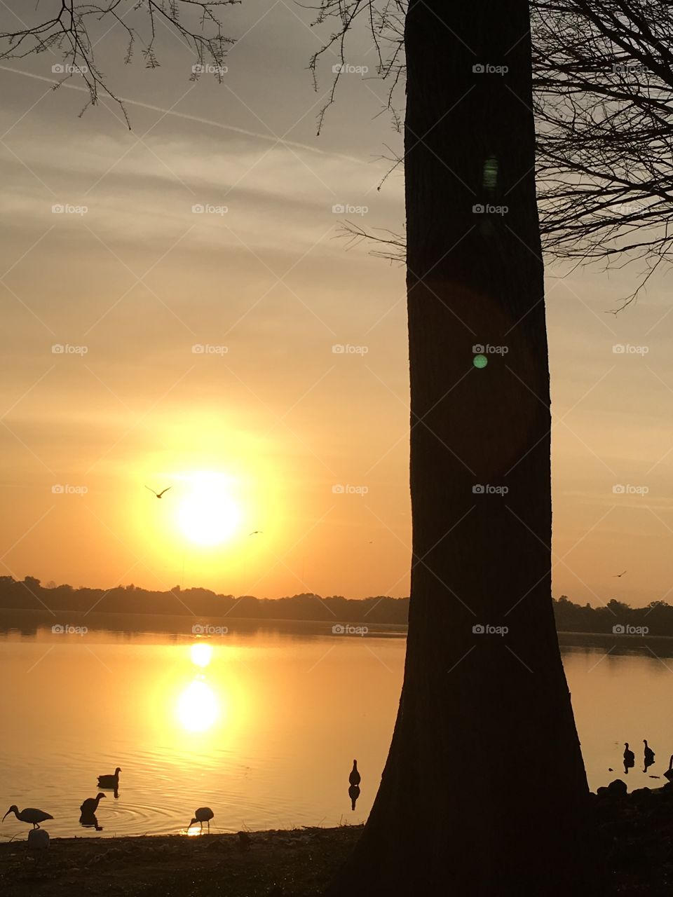 Beautiful morning golden sunshine at the park 