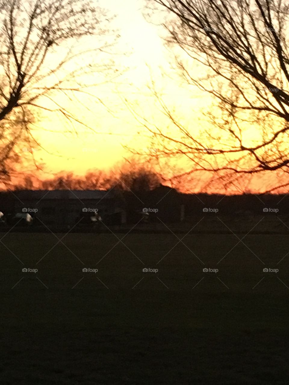 One of my favorite sunsets of 2019 looking forward to many more in 2020! Awesome.