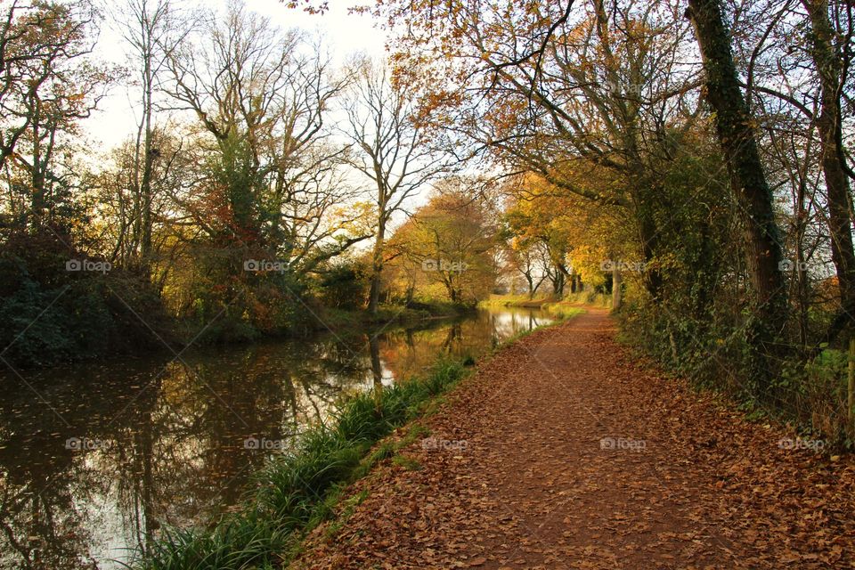 Autumn walk along the Grand Western Canal