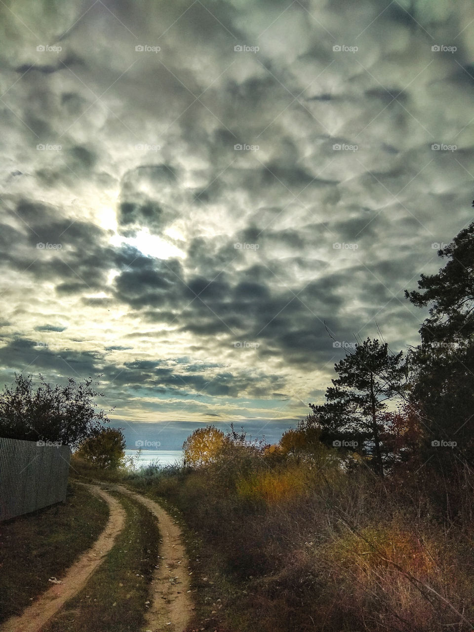 A path with bushes on the side of the road and a yellowing forest against the backdrop of the Volga River (Russia) under a very beautiful cloudy sky on a cloudy autumn evening