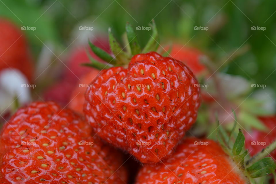 strawberry