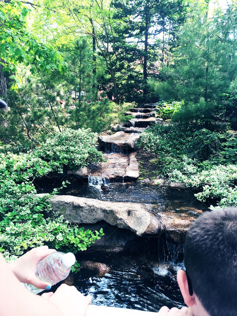 Waterfall at the zoo 