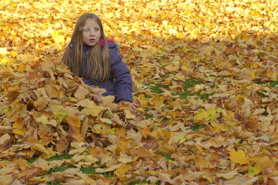 Beautiful little girl sitting on dry autumn leaves