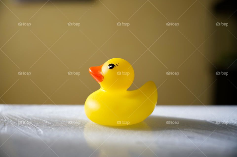 profile of yellow rubber duck