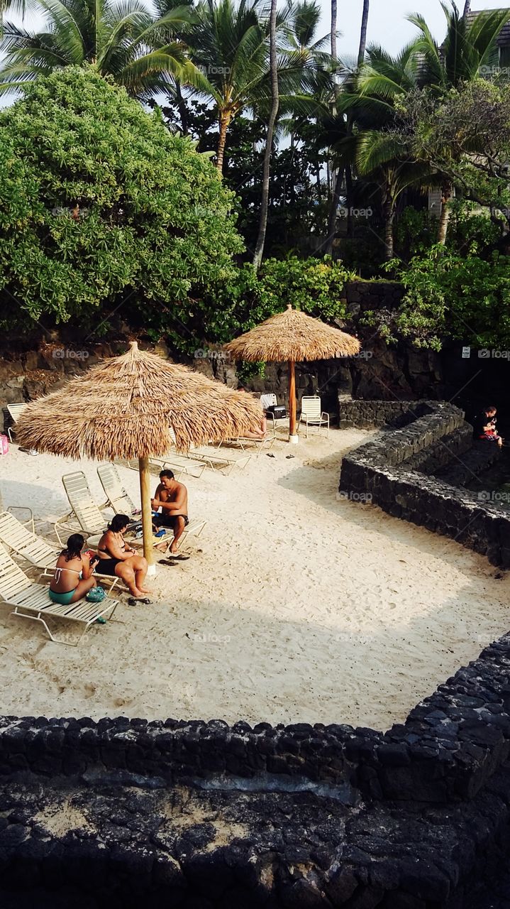 Locals at the beach