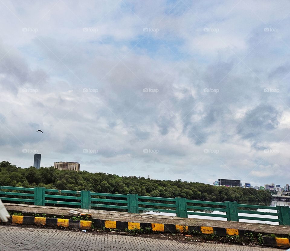 City space mode
Click
Snap
Forest
Green Beauty
Overbridge
River
Birds
Cloudy Sky
Buildings
Outdoor
Pleasant Weather