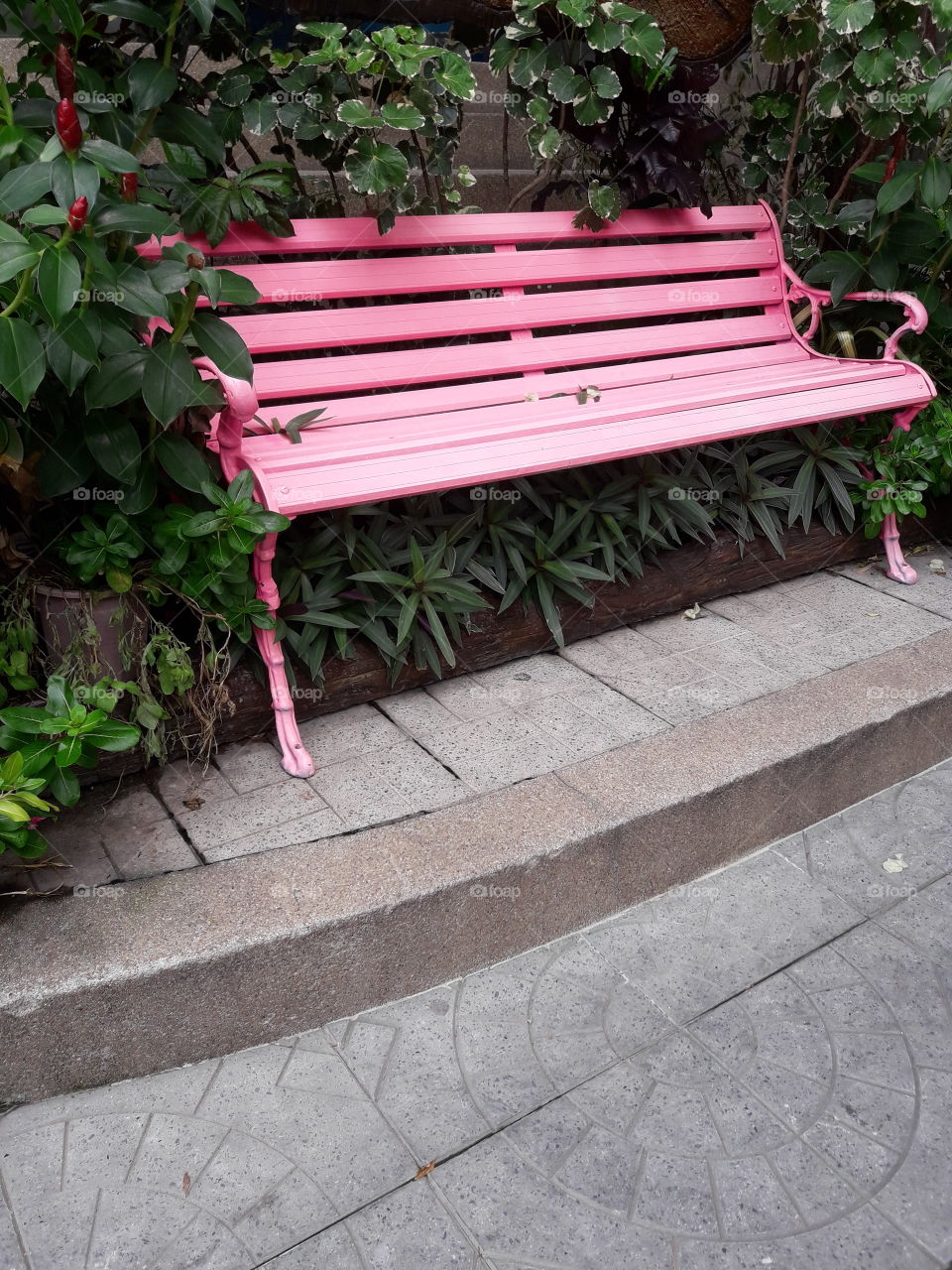 pink bench in front of the government's office when it is used  for during time because it was touch by strong sunlight.