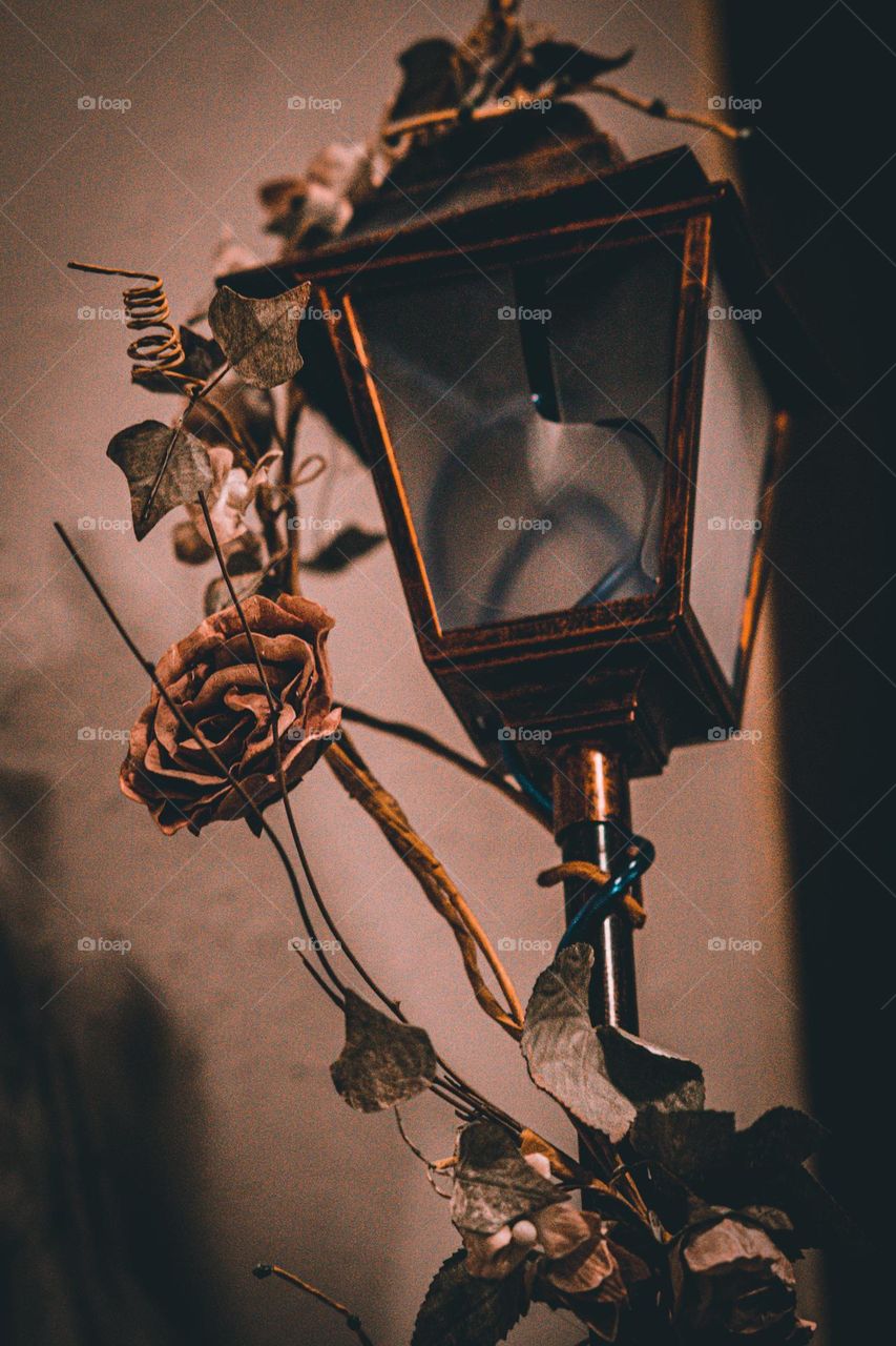 Rose and broken post.