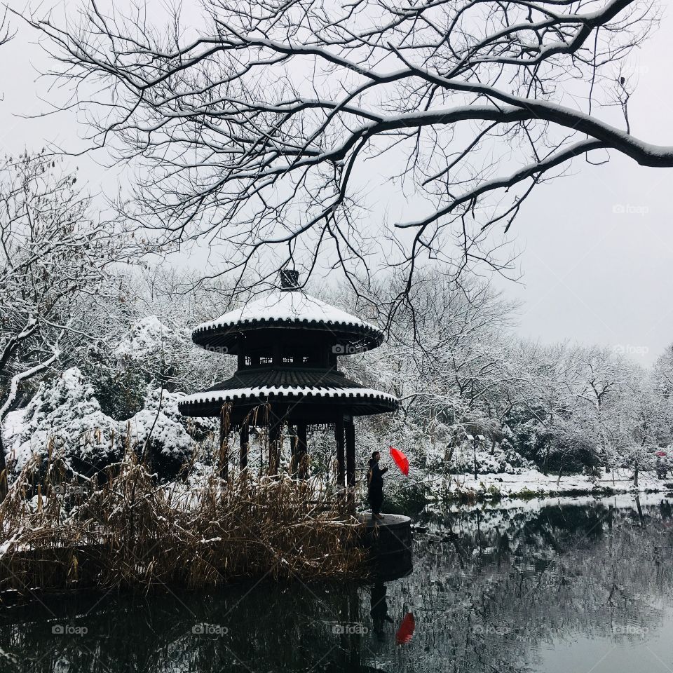 Winter, Water, Tree, Park, Lake