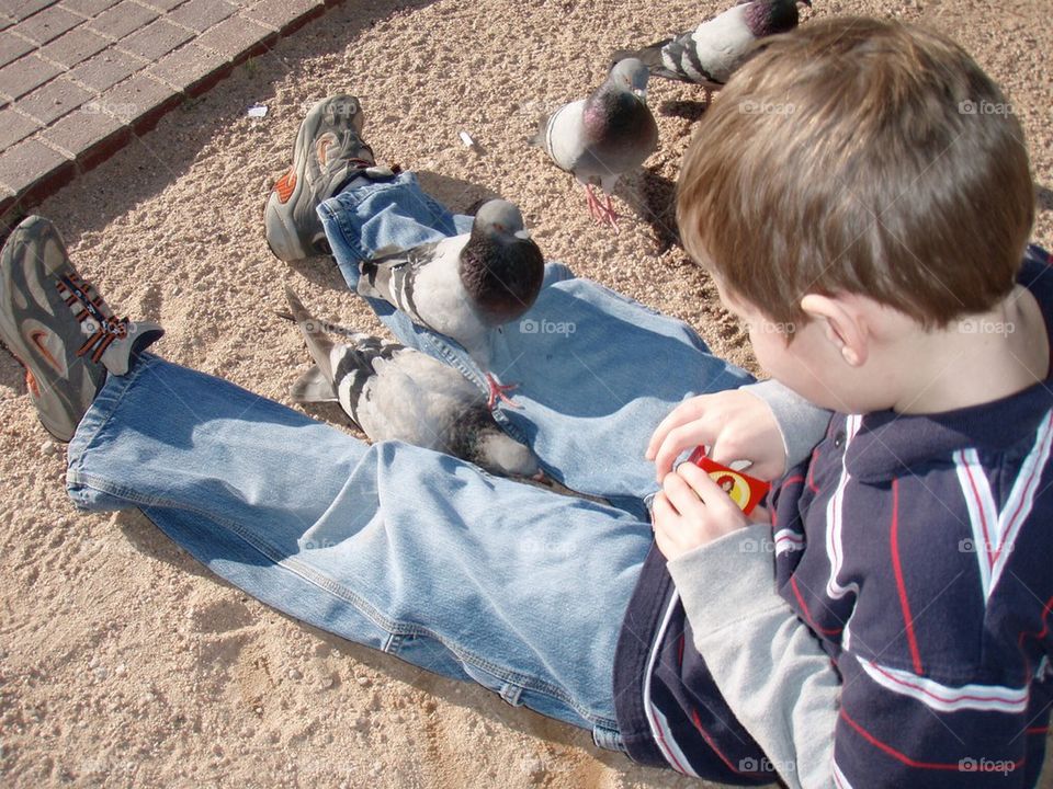 Boy with pigeons