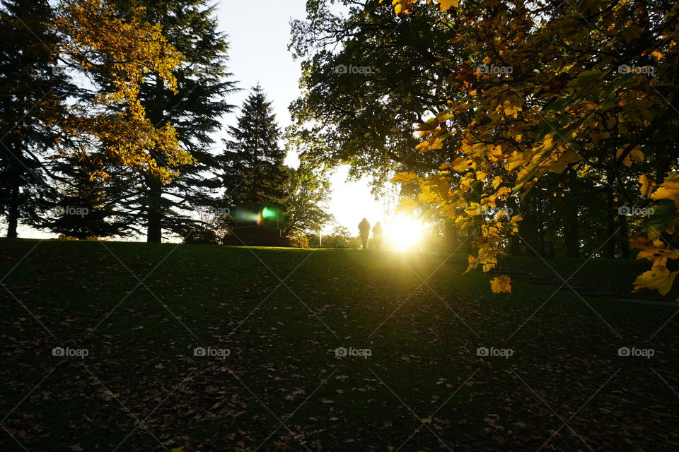 Autumn Sunset in the park 